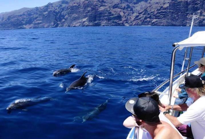 Apartamento Incleibles Vistas Al Oceano Y Piscina. Acantilado de los Gigantes Eksteriør bilde